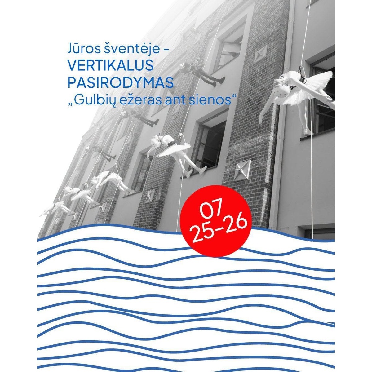 Vertikalus šokis „Gulbių ežeras ant sienos“